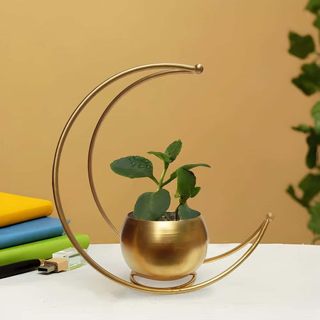 Royal Golden Flower Vase For Gifting & Multipurpose Use As Table Decor / Planter / Showpiece | RAMADAN GIFT | MUSLIM RAMADAN | EID GIFT  | CHRISTMAS DECORATION FOR HOME DECOR (no flowers )